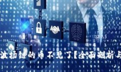 TPWallet波场链的币不见了？全面剖析与解决方案