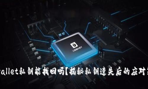 tpwallet私钥能找回吗？揭秘私钥遗失后的应对策略