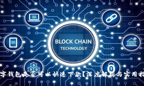 数字钱包是否可以快速下款？深度解析与实用指南