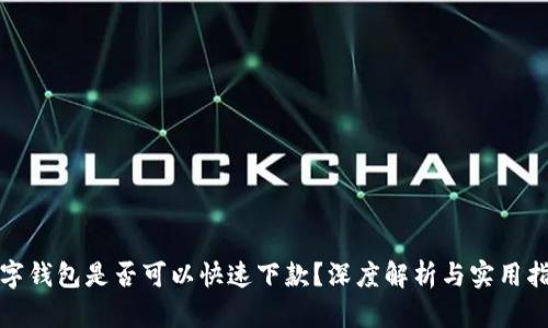 数字钱包是否可以快速下款？深度解析与实用指南