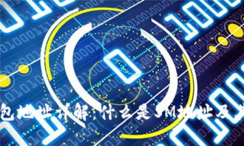 区块链钱包地址详解：什么是SM地址及其使用指南
