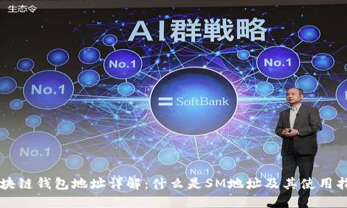 区块链钱包地址详解：什么是SM地址及其使用指南
