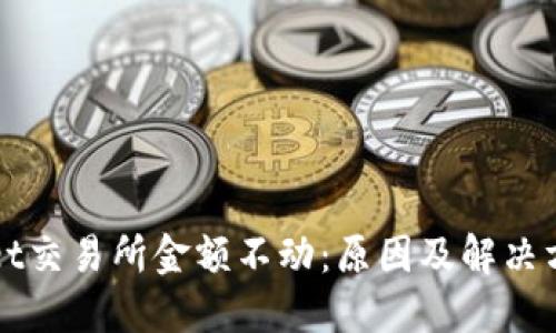 TPWallet交易所金额不动：原因及解决方法详解