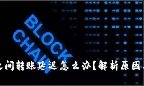 加密钱包之间转账延迟怎么办？解析原因与解决方案