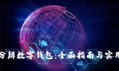 如何分辨数字钱包：全面指南与实用技巧