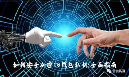 如何安全加密TB钱包私钥：全面指南