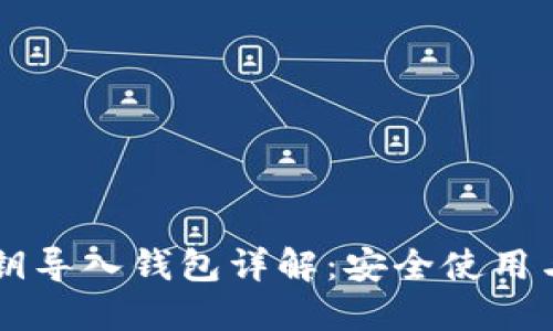 区块链私钥导入钱包详解：安全使用与操作指南