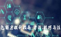 数字钱包额度提升指南：方法、技巧与注意事项