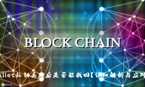 TPWallet私钥丢失后是否能找回?详细解析与应对策略